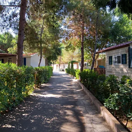 Villaggio Odissea Ferienpark Marina di Camerota